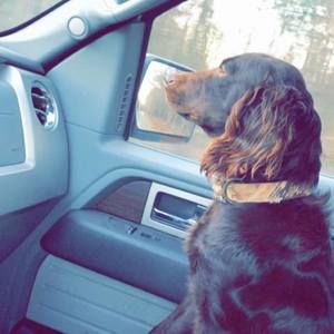 Meet your Posher, William